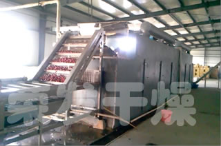 紅棗專用帶式烘干機生產線