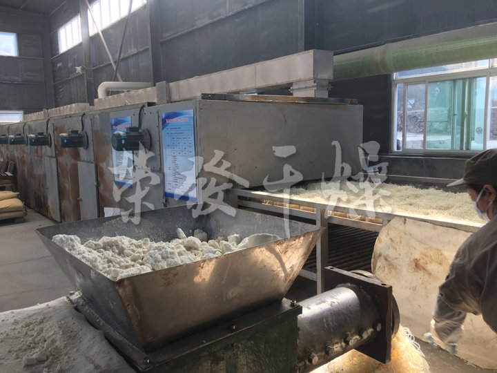 DW單層帶式干燥機